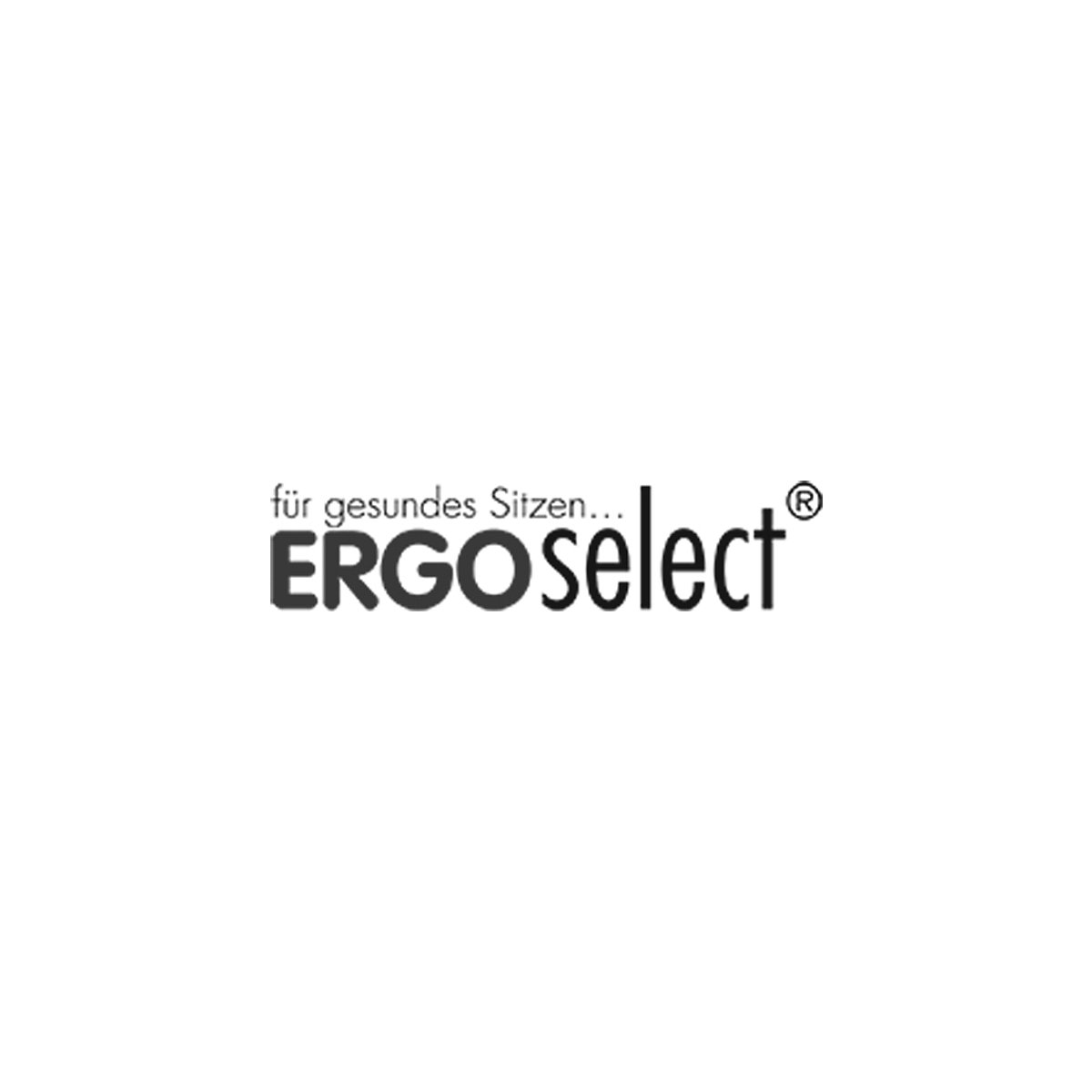 ERGO select Markenlogo himolla